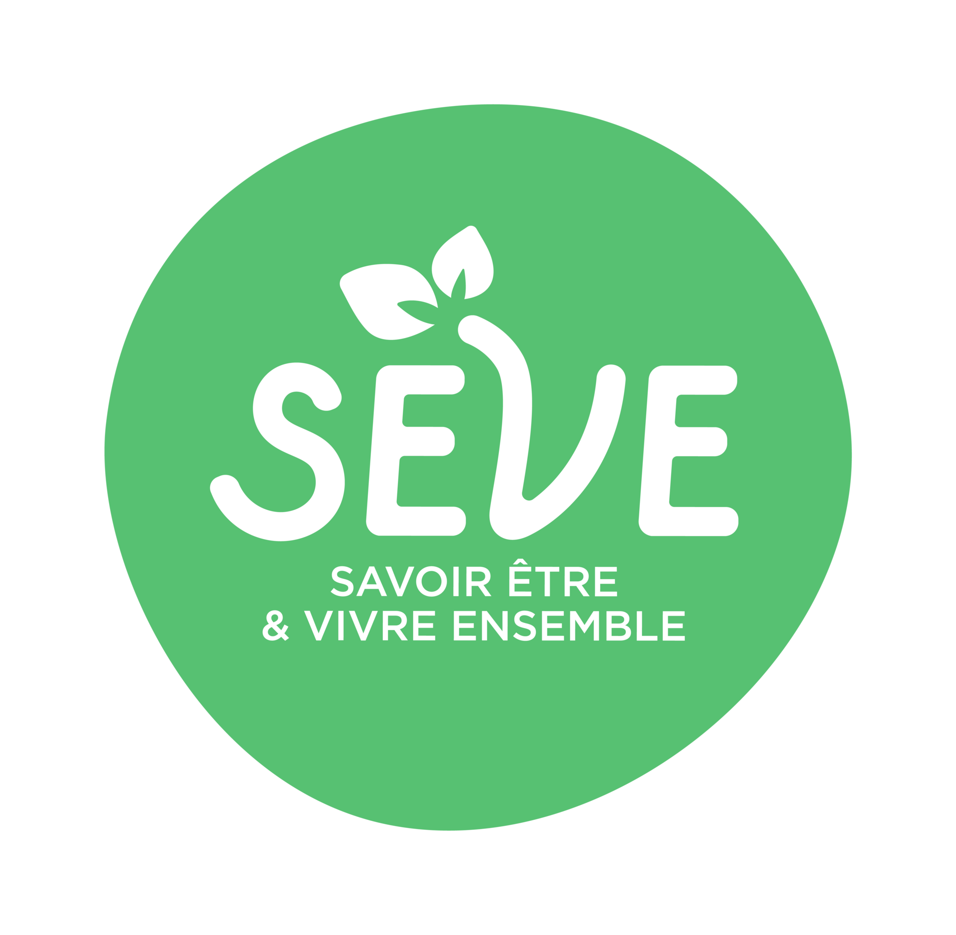 Alumni SEVE - France